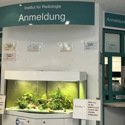 Charité Universitätsmedizin Berlin - Radiologie | Charité Berlin-Mitte