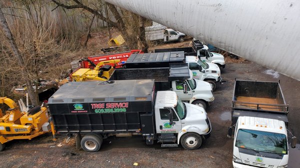 Green Point Tree Services & Landscaping