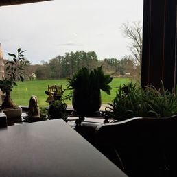 The view The view