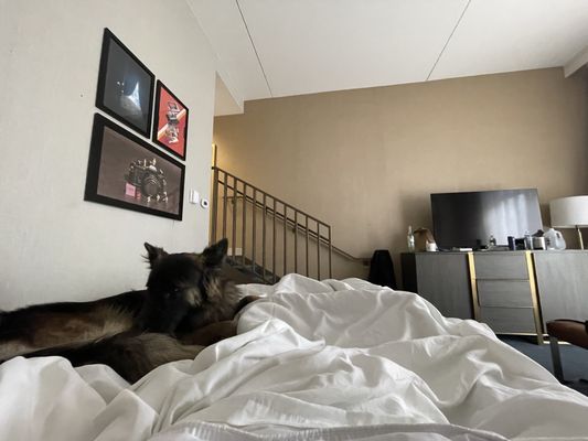 Hotel Dena, Pasadena Los Angeles, a Tribute Portfolio Hotel by null