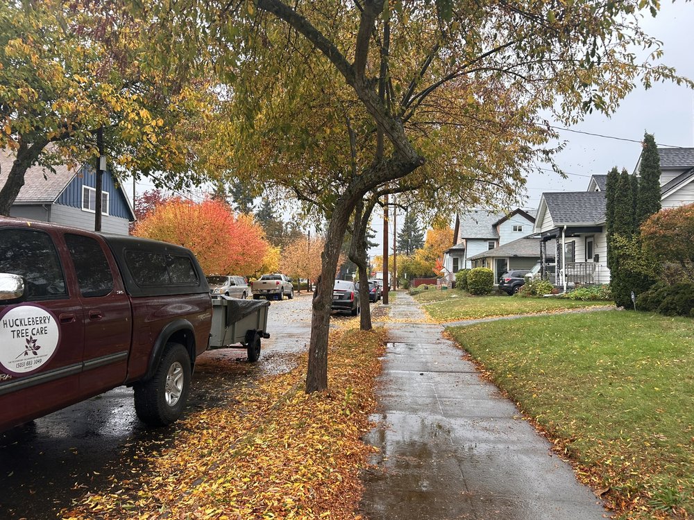 Huckleberry Tree Care - tree service in Portland, OR