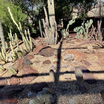 Desert Botanical Garden - Botanical Gardens Near Me - Phoenix, Arizona Desert Botanical Garden - Botanical Gardens Near Me - Phoenix, Arizona