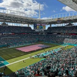 Miami Dolphins