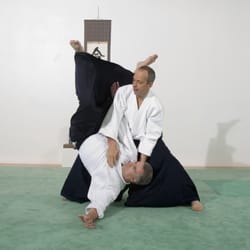 Aikido Institut Hamburg