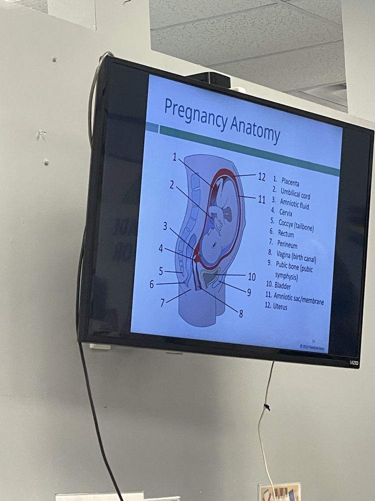 Buddha Belly - patient advocate in Tampa, FL