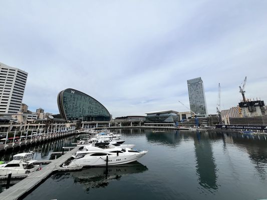 Darling Harbour by null