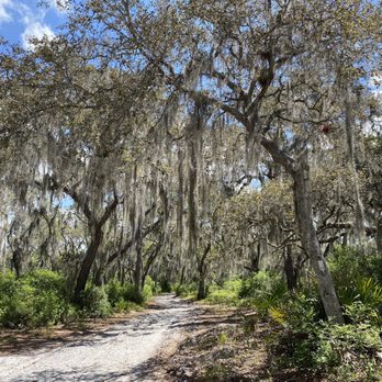 Split Oak Forest - Hiking Near Me - Orlando, Florida