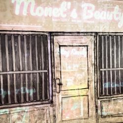 Carnegie Center For Art & History - Main Exhibit, Monet realization in every day life possibilities.