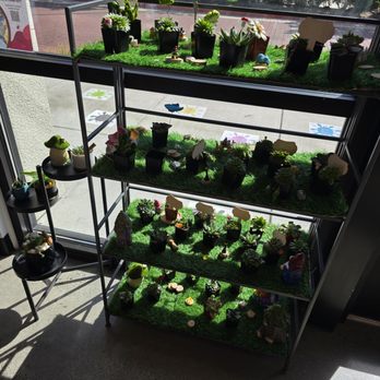 The Hot Spot - Fairy garden pick your succulent - Paint-Your-Own Pottery Near Me - Sacramento, California