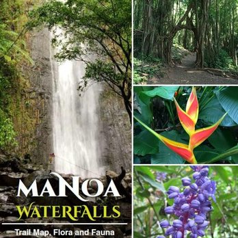 Hawaii’s Best Activities - Historical Tours Near Me Hawaii’s Best Activities - Historical Tours Near Me