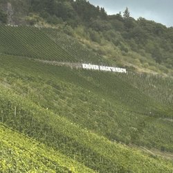 Weingut & Gästehaus H.-J. Junglen - Weinberg Kröver Nacktarsch