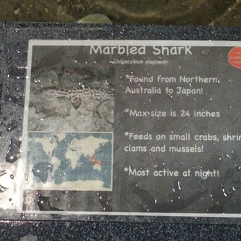 Atlantic City Aquarium - Aquariums Near Me - Atlantic City, New Jersey