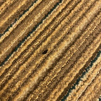 MainStay Suites - Cigarette burn in room carpeting #3 - Hotels Near Me - Appleton, Wisconsin MainStay Suites - Cigarette burn in room carpeting #3 - Hotels Near Me - Appleton, Wisconsin