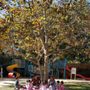 Photo of COV Developmental Preschool
