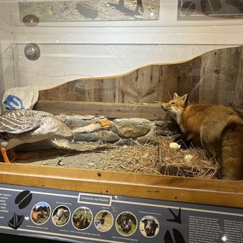 Dorr Museum - Museums Near Me - Bar Harbor, Maine