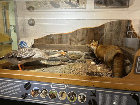 George B. Dorr Museum of Natural History by null