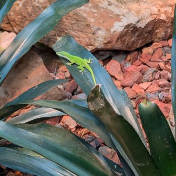 Reptile Gardens - Botanical Gardens Near Me - Rapid City, South Dakota
