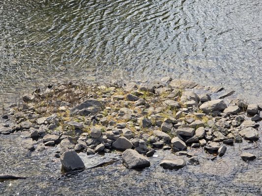 Harpers Ferry National Historical Park by null