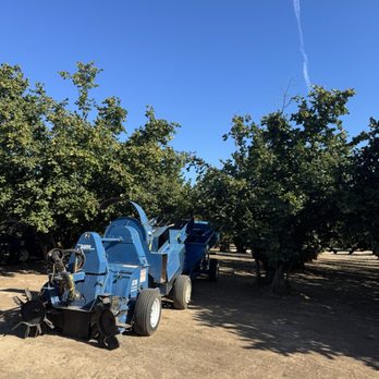 Ken & June Hazelnuts - Hazelnut tree and picking machine - Honey Near Me - Saint Paul, Oregon
