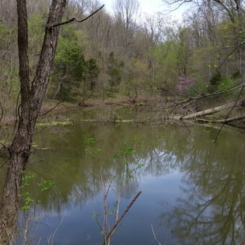 Salato Wildlife Center - Pond at the start of Pea Ridge Loop Trail. - Zoos Near Me - Frankfort, Kentucky Salato Wildlife Center - Pond at the start of Pea Ridge Loop Trail. - Zoos Near Me - Frankfort, Kentucky