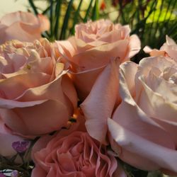 Naomi's Flowers & Boutique
