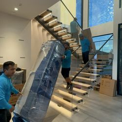 Shark Movers