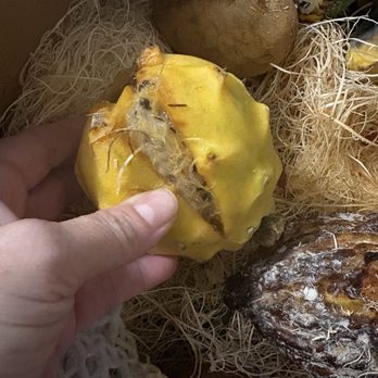 Robert Is Here - Smashed dragon fruit with debris from box - Fruits & Veggies Near Me - Homestead, Florida Robert Is Here - Smashed dragon fruit with debris from box - Fruits & Veggies Near Me - Homestead, Florida