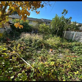 Mar Landscaping & Construction - Tree Services Near Me Mar Landscaping & Construction - Tree Services Near Me