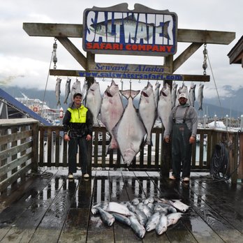 Saltwater Safari - 07/24/25 Captain Bobby - Tours Near Me - Seward, Alaska Saltwater Safari - 07/24/25 Captain Bobby - Tours Near Me - Seward, Alaska
