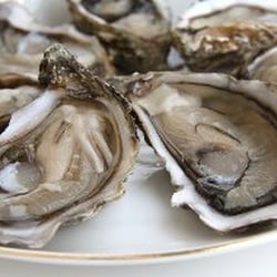 Acworth Seafood