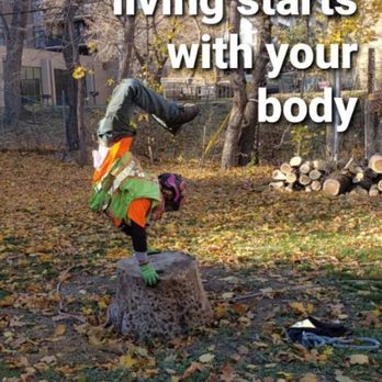 Community Tree Care - Tree Services Near Me - Mississauga, Ontario