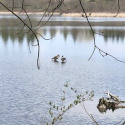 Dryden Lake Park
