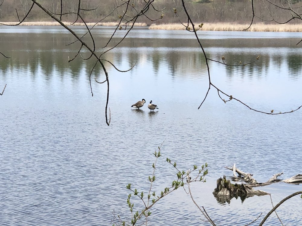 DRYDEN LAKE PARK Updated September 2024 14 Photos W Lake Rd