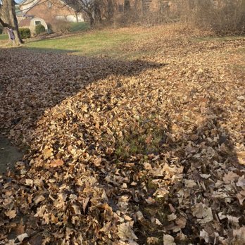 Horizon Outdoor Services - Leaf clean-up completed in December - Landscaping Near Me - Hagerstown, Maryland Horizon Outdoor Services - Leaf clean-up completed in December - Landscaping Near Me - Hagerstown, Maryland
