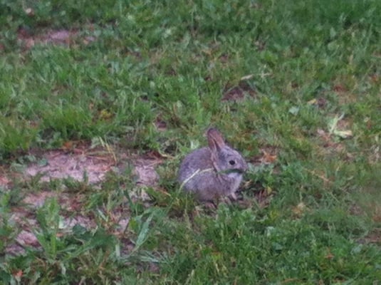 Cedar Pass Lodge in Badlands National Park by null