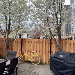 Backyard fence