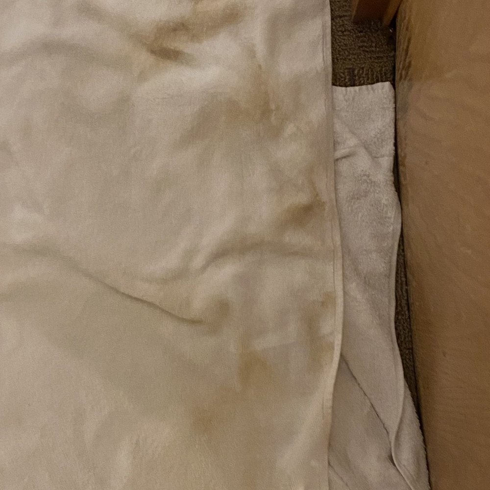 Poco Diablo Resort - Filthy carpet cleaned on to towel - Hotels Near Me - Sedona, Arizona Poco Diablo Resort - Filthy carpet cleaned on to towel - Hotels Near Me - Sedona, Arizona
