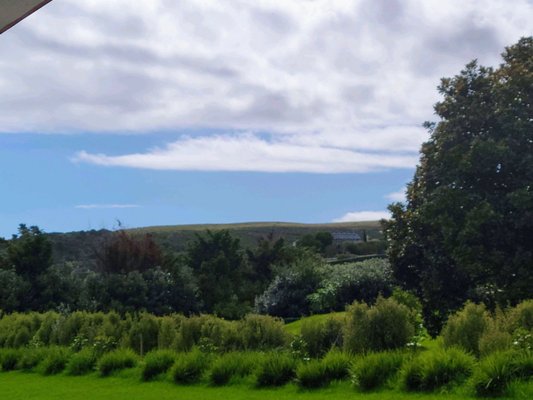 Waiheke Island by null