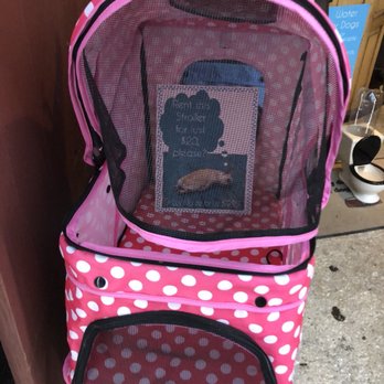Faux Paws - Pet Stores Near Me - Saint Augustine, Florida