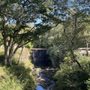 Photo of Waterfalls Trailhead