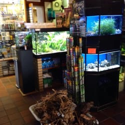 Aquarium Holgen