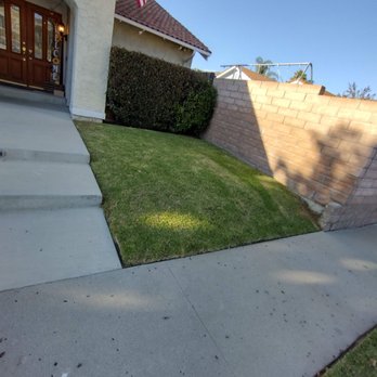 Green Spaces Landscaping - Before turf removal and drought tolerant plants installation - Landscaping Near Me Green Spaces Landscaping - Before turf removal and drought tolerant plants installation - Landscaping Near Me