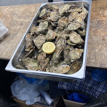 Galway Food Tours - Oysters at the market! - Food Tours Near Me - Galway, G