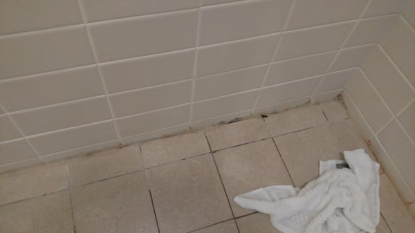 Le Merigot Hotel by null