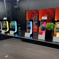 WellShroomness - Spinning Display cases of 6 mushroom varieties.