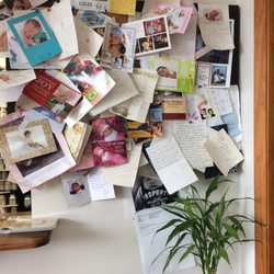 Xing Lin Holistic Healing Center