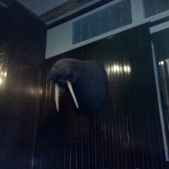 Old Ebbitt Grill - 051911: "Coo Coo Ca Choo..." -- purportedly bagged by Teddy Roosevelt... - Bars Near Me - Washington, DC, District of Columbia Old Ebbitt Grill - 051911: "Coo Coo Ca Choo..." -- purportedly bagged by Teddy Roosevelt... - Bars Near Me - Washington, DC, District of Columbia