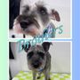 Photo of Le Puppery