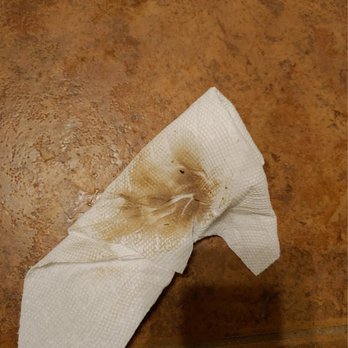 Mountain Laurels Housekeeping - Home Cleaning Near Me Mountain Laurels Housekeeping - Home Cleaning Near Me