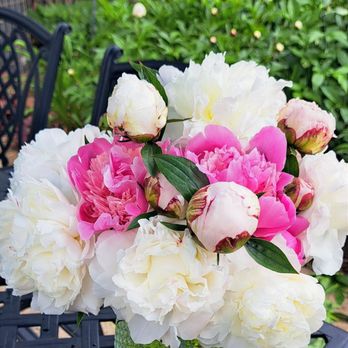 Terra Starsha - Peonies are in bloom just in time for Central High and Nathan Hale High graduation! - Floral Designers Near Me - West Allis, Wisconsin Terra Starsha - Peonies are in bloom just in time for Central High and Nathan Hale High graduation! - Floral Designers Near Me - West Allis, Wisconsin